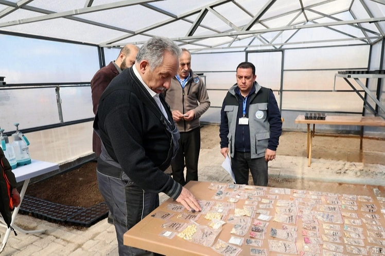 Kayseri Talas'ta tulum eşliğinde tohum şenliği