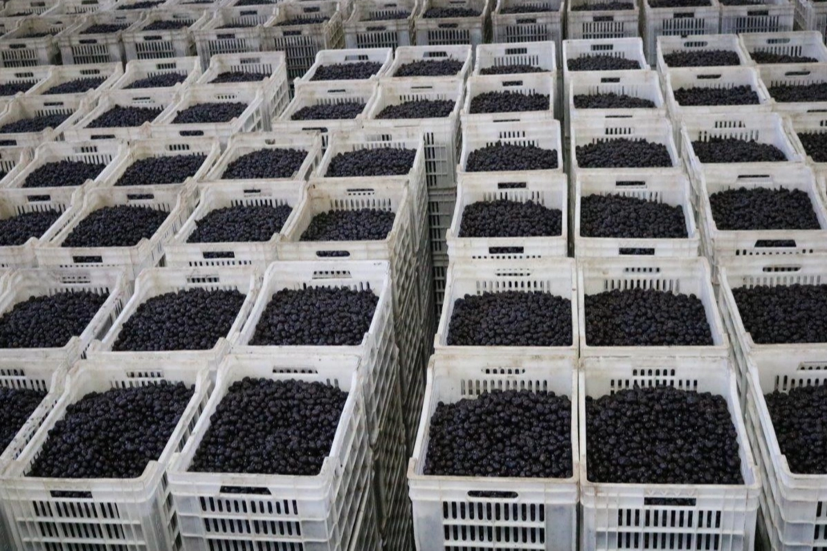 Marmarabirlik son dilim ödemeyi 25 Nisan'da yapacak